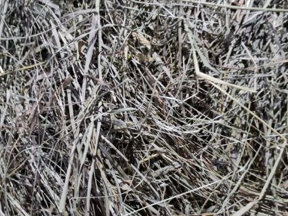 Bild 5:Heu zum Stockpressen