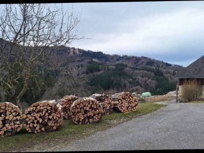 Bild 2:Brennholz