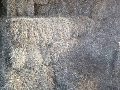 Bild 2:Kleine Heu Quaderballen