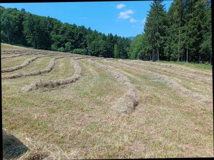 Bild 2:Heu Rundballen 2025