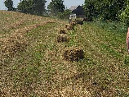 Bild 2:Kleeheu - Heu - handliche, 4-eckige Ballen