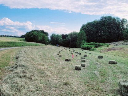 Heuballen ab Wiese