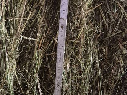 Bild 2:Verkaufe HD-Ballen