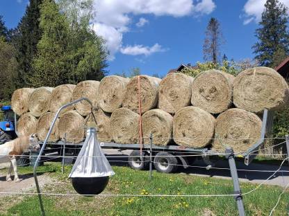 Heurundballen 1. Schnitt für Pferde