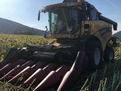 Bild 2:Mähdrescher New Holland CX760