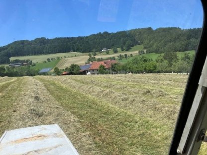 Bild 4:Heu Rundballen 1. Schnitt 2025