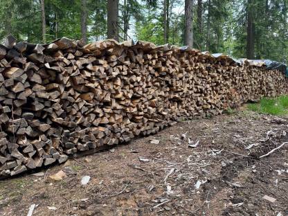 Bild 2:Buchen Brennholz