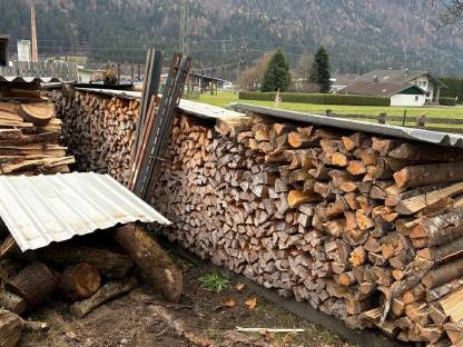 Brennholz