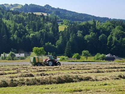Bild 2:1. Schnitt Heuballen 2024