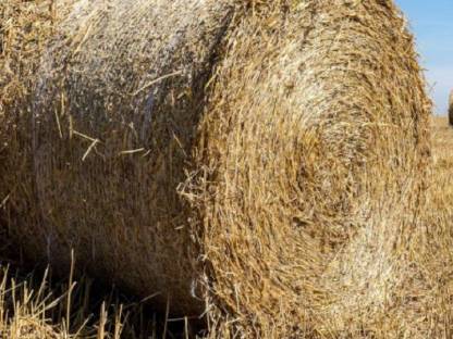 Stroh Verkauf Ernte 2025 ab Feld