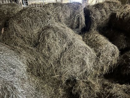 Bild 2:Heurundballen