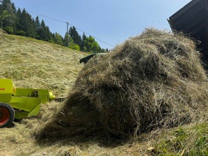 Bild 4:Heu Futter in Kleinballen