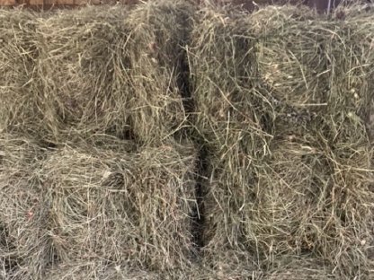 Bild 3:Heu Futter in Kleinballen