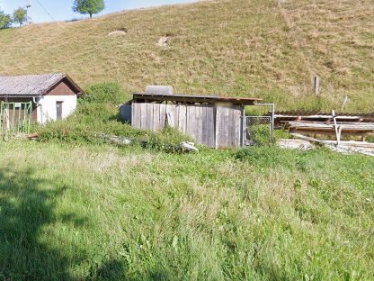 Bild 2:Futterwiese kostenfrei zu verpachten, 250 m² freie Nutzung