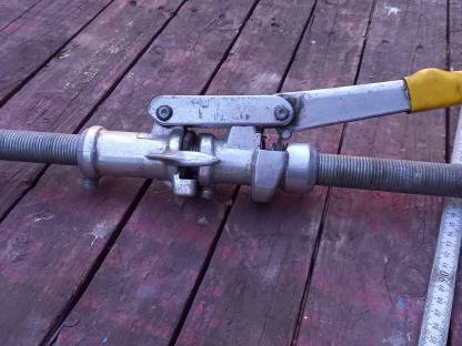 Bild 2:Geburtshelfer Kuh