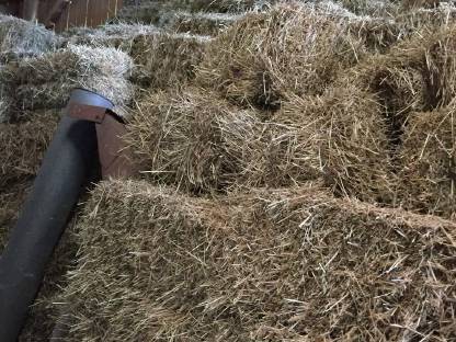 Grobe Kleinballen Heuballen vom ersten Schnitt 2023