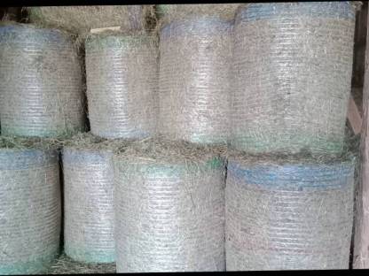 Bild 4:Heu in Rundballen Pferdeheu zu verkaufen