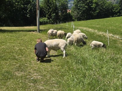 Bild 9:Verkaufe reinrassiges Dorperlamm