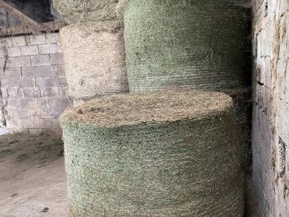 Heuballen, Silageballen