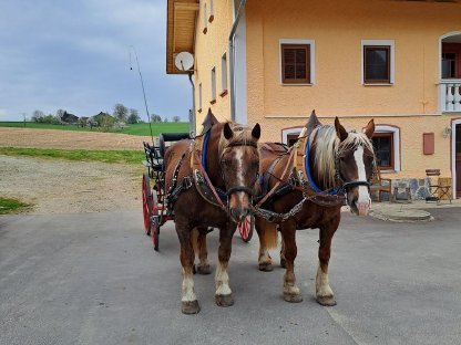 Pferdemarkt