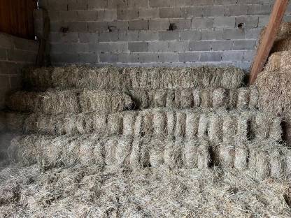 Bild 2:Heu Kleinballen