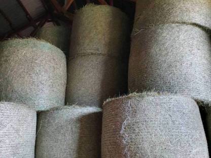 Bild 3:Heu Rundballen