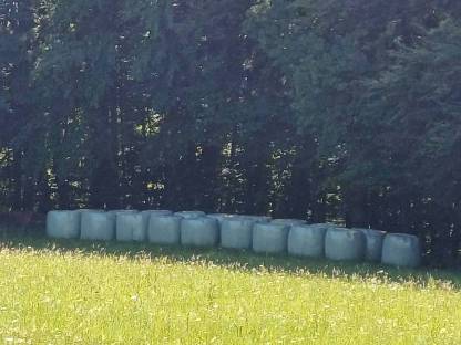 Silageballen