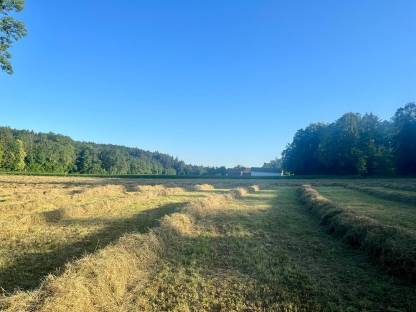 Bild 4:Belüftetes Heu