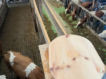SYKK im Einsatz bei Milchkühen