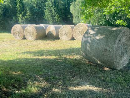 Bild 2:Heu