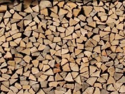 Holz