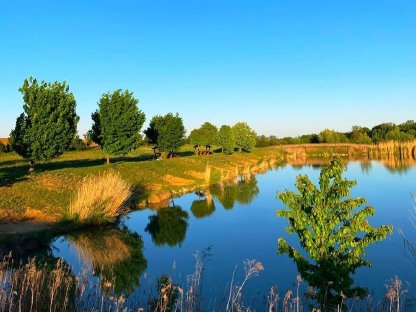 Zwei einzigartige Fischteich-Grundstücke, grenznah zu AT