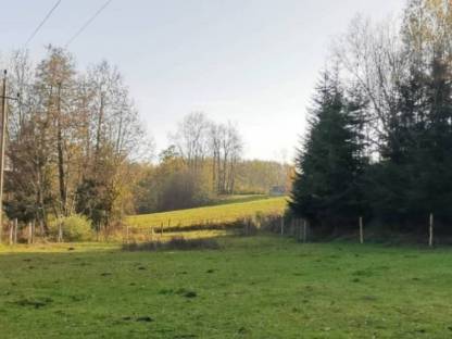 Offenstall, Einstellplätze, Stalltrakt