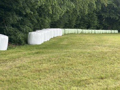 Siloballen, Silageballen