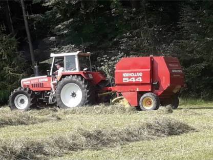 Heuballen günstig abzugeben