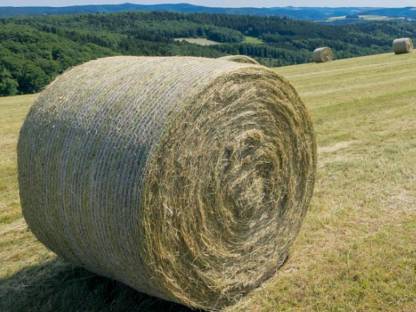 Heuballen 1er Schnitt