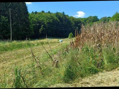 Silageballen