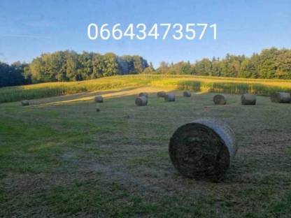heu 1 schnitt 2025