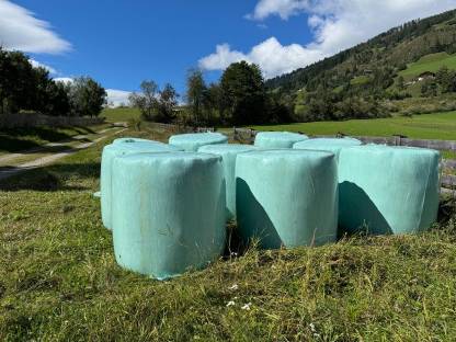 Siloballen 2. Schnitt 2024