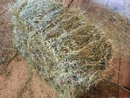 Bild 2:Klein Heuwürfel