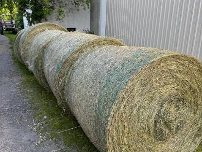 BIO Heu und Siloballen (2024)