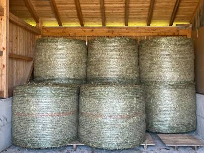 1. Schnitt Rundballen 150