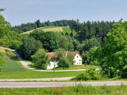 Sacherl in idyllischer Lage (ideal für Tierhaltung)