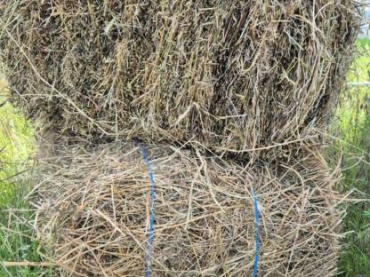 Bild 3:Heu Kleinballen