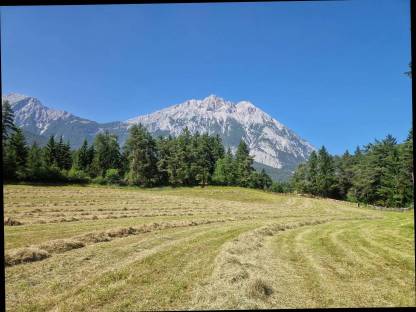 Bild 2:Bio Heuballen klein