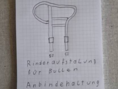 Aufstallung für Stiere