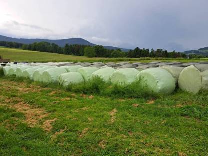 Siloballen, Silageballen, Silo