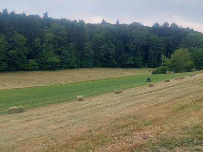 Bild 6:Heu Kleinballen