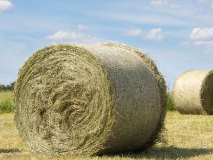 Heu/Grummet belüftet Ernte 2025