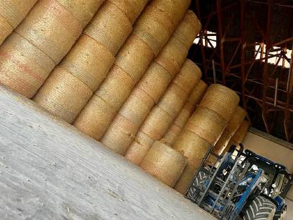 Bild 4:Strohrundballen - kurz geschnitten